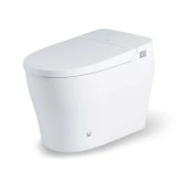 Bồn cầu thông minh Bravat C29019W0-3-2-ENG 1