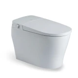 Bồn cầu thông minh Bravat C29020W1-3-4-ENG 1