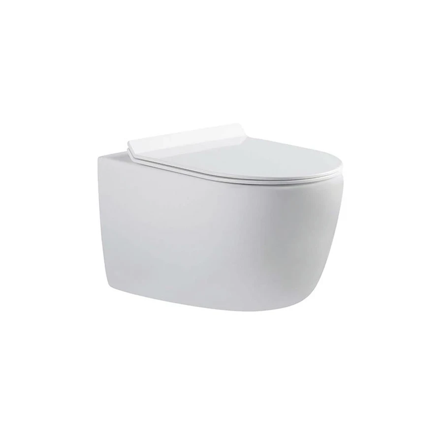 Ảnh Bồn cầu treo tường Bravat C21172UW-ENG 1