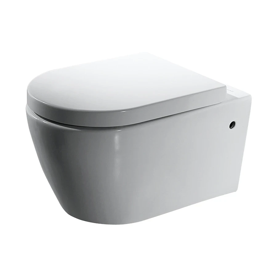 Ảnh Bồn cầu treo tường Bravat C2190UW-ENG 1
