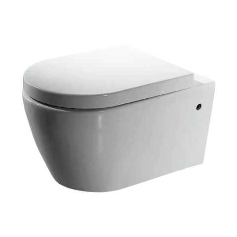Bồn cầu treo tường Bravat C2190UW-ENG
