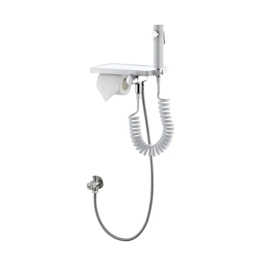 Vòi xịt kèm lô giấy Bravat D9142NP-ENG