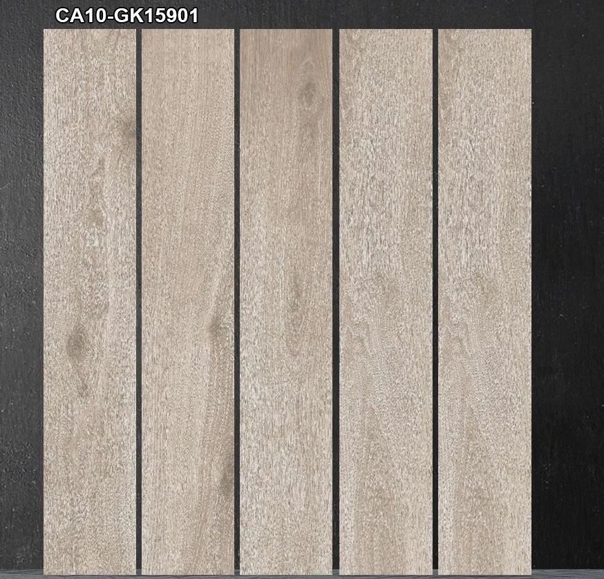 ca10 gk15901