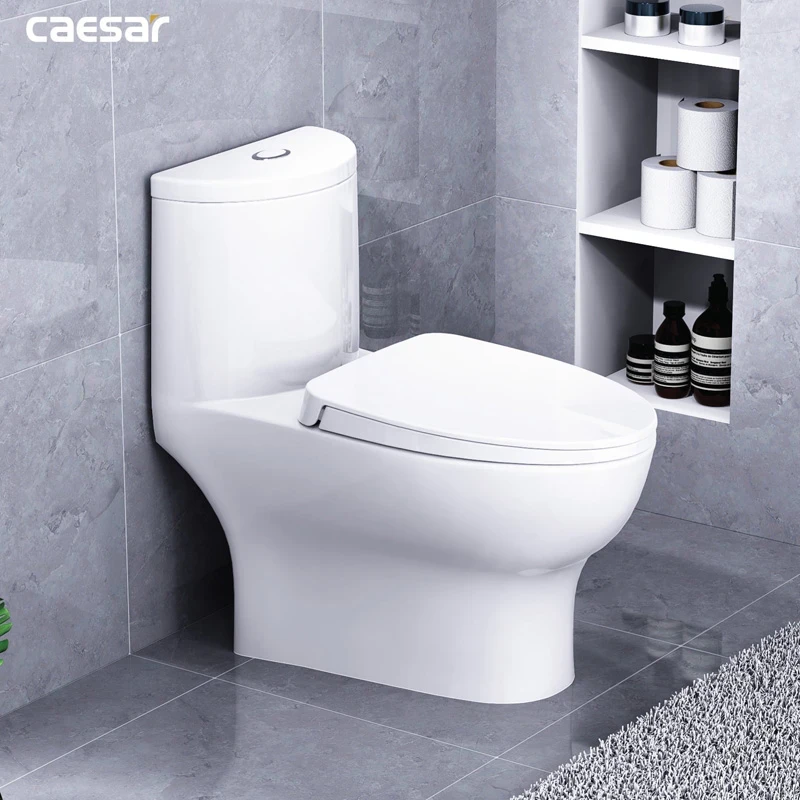 Ảnh Bồn cầu 1 khối Caesar CD1375 4