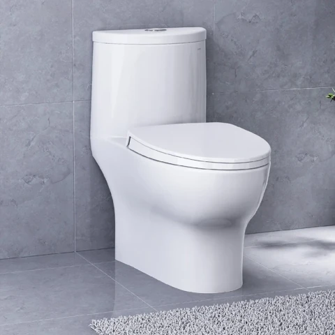 Ảnh Bồn cầu 1 khối Caesar CD1375 3