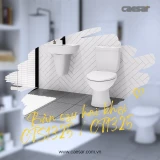 Bồn cầu 2 khối Caesar CT1325 / CTS1325 3