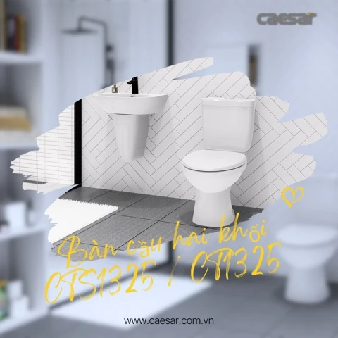 Ảnh Bồn cầu 2 khối Caesar CT1325 / CTS1325 3