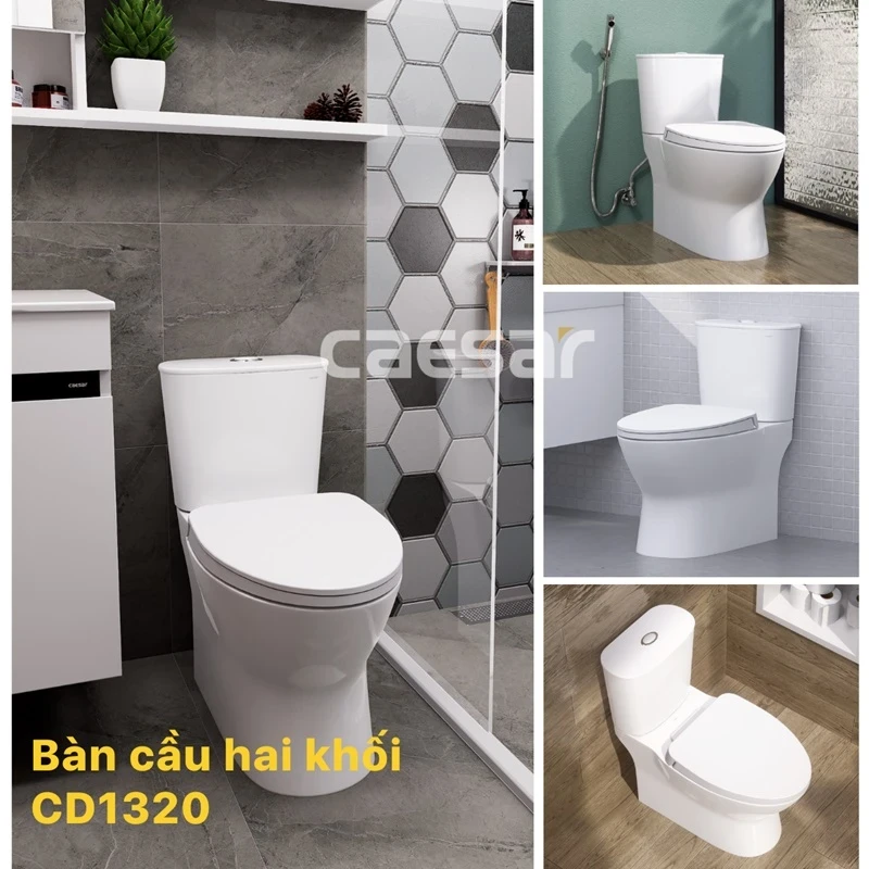 Ảnh Bồn cầu 2 khối Caesar CD1320 3