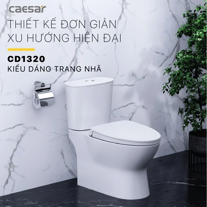 Ảnh Bồn cầu 2 khối Caesar CD1320 2