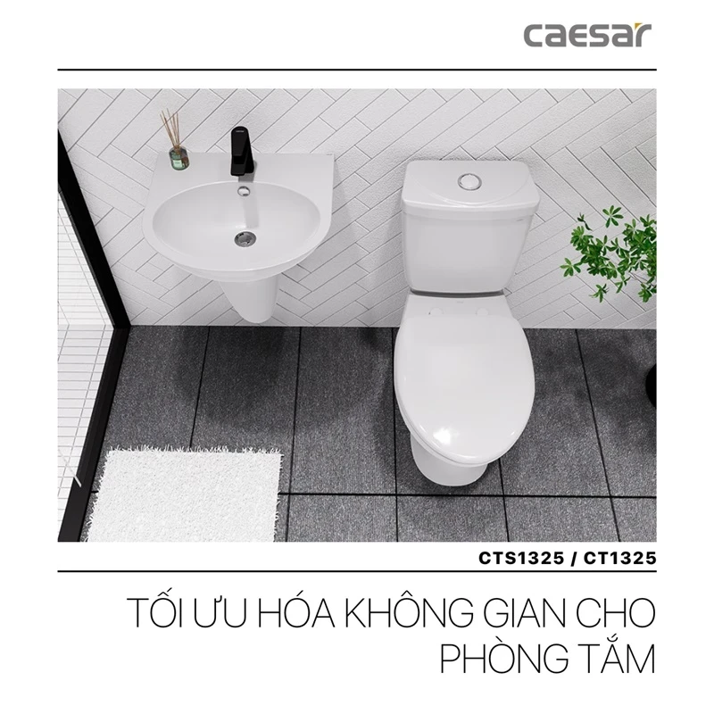 Ảnh Bồn cầu 2 khối Caesar CD1325/CTS1325  2