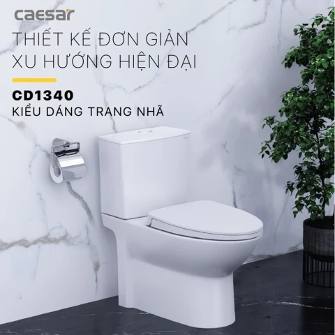 Ảnh Bồn cầu 2 khối Caesar CD1340 2