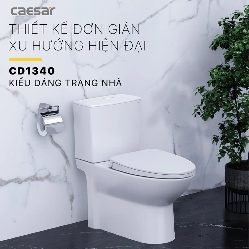 Ảnh Bồn cầu 2 khối Caesar CD1340 2