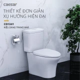Bồn cầu 2 khối Caesar CD1341 3