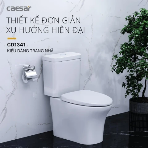 Ảnh Bồn cầu 2 khối Caesar CD1341 3