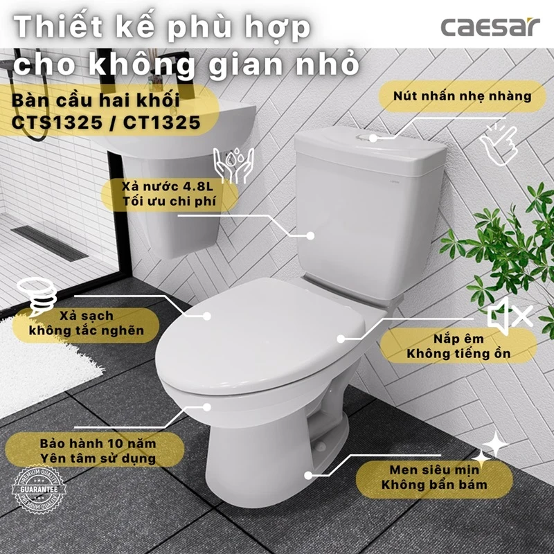 Ảnh Bồn cầu 2 khối Caesar CDS1325 2