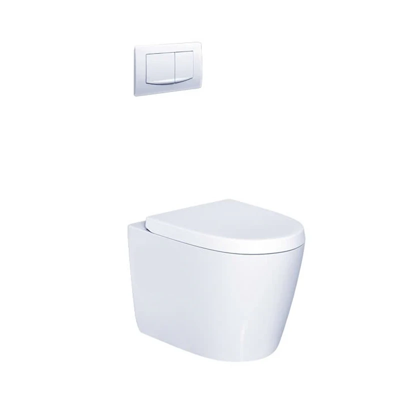 Bồn cầu âm tường Caesar CPT1505