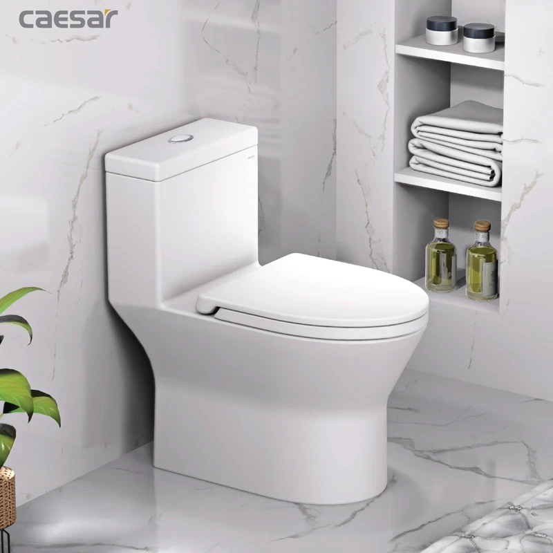 Ảnh Bồn cầu 1 khối Caesar CD1374 3