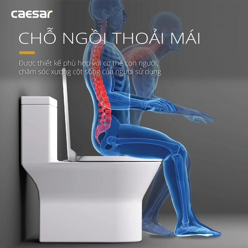 bon cau caesar cd1374 ngoi thoai mai