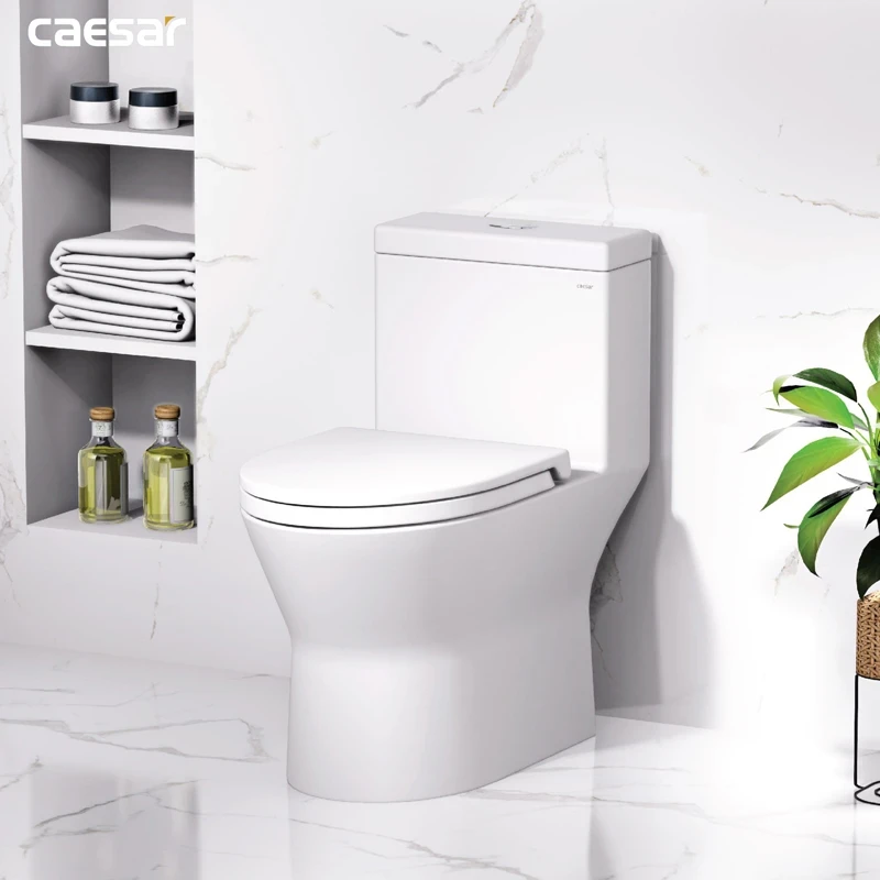Ảnh Bồn cầu 1 khối Caesar CD1374 4