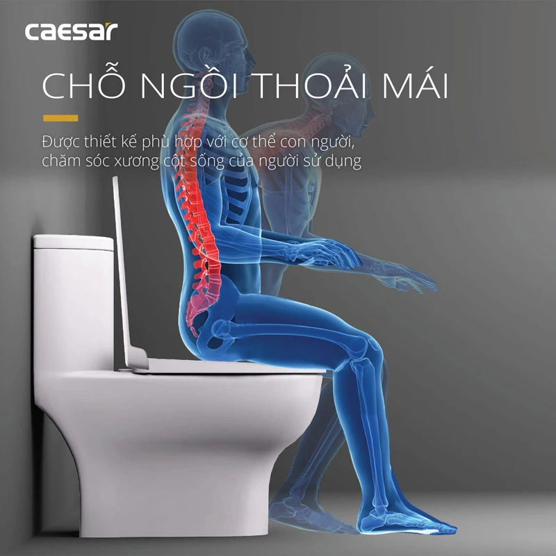 bon cau caesar cd1375 cho ngoi thoai mai