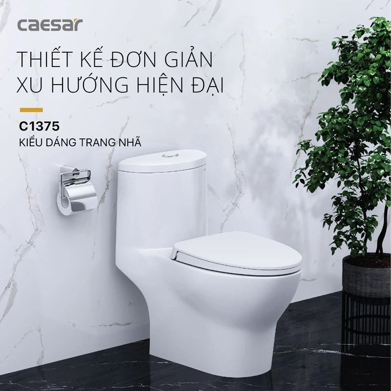 Ảnh Bồn cầu 1 khối Caesar CD1375 2
