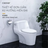 Bồn cầu 1 khối Caesar C1353 2