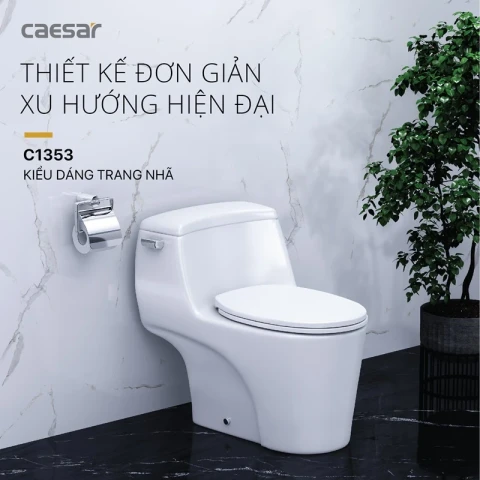 Ảnh Bồn cầu 1 khối Caesar C1353 2