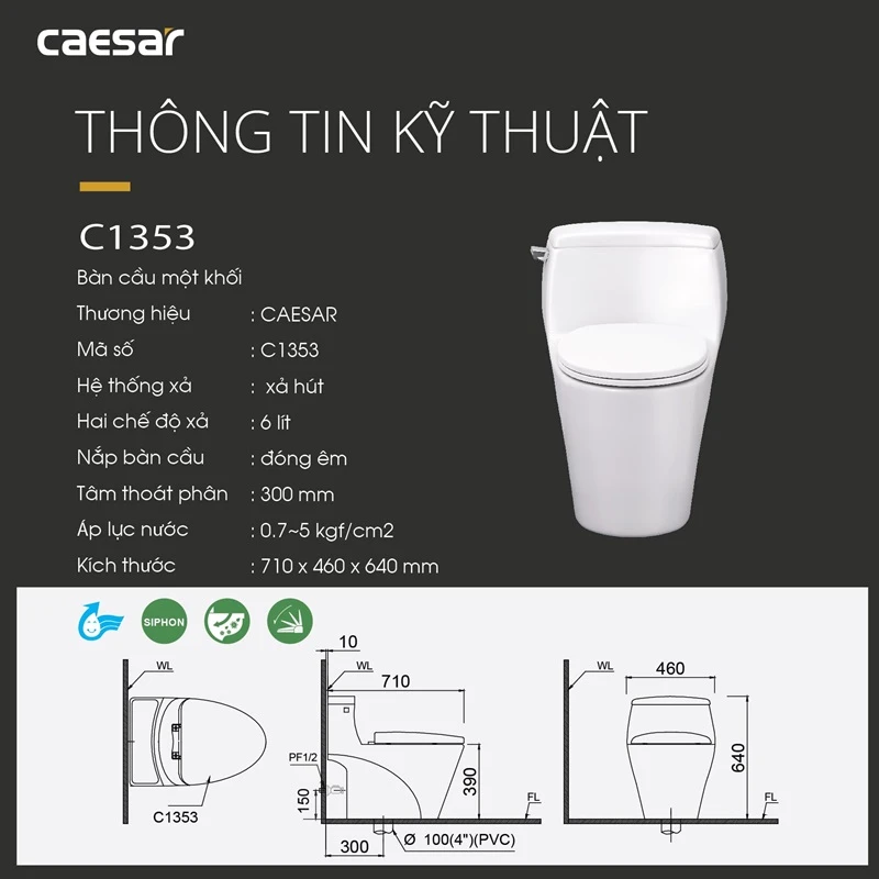 cau 1 khoi caesar c1353 6