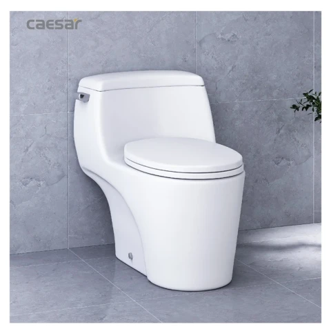 Ảnh Bồn cầu 1 khối Caesar C1353 4