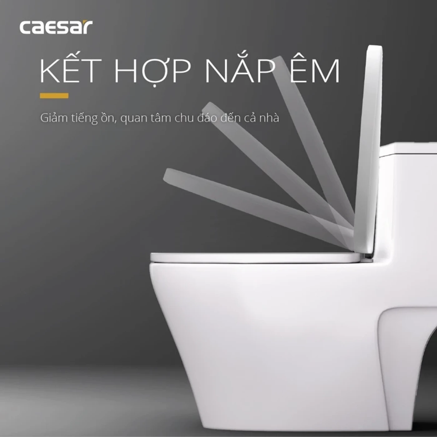 cau 1 khoi caesar cd1356 3