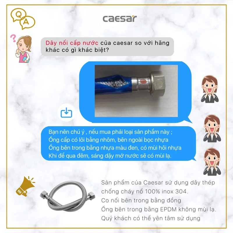 cau hoi sen tam caesar 1