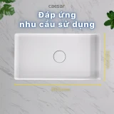 Chậu rửa âm bàn Caesar LF5130 2