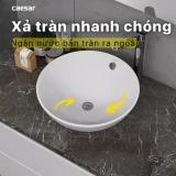 Chậu rửa đặt bàn Caesar L5215 4
