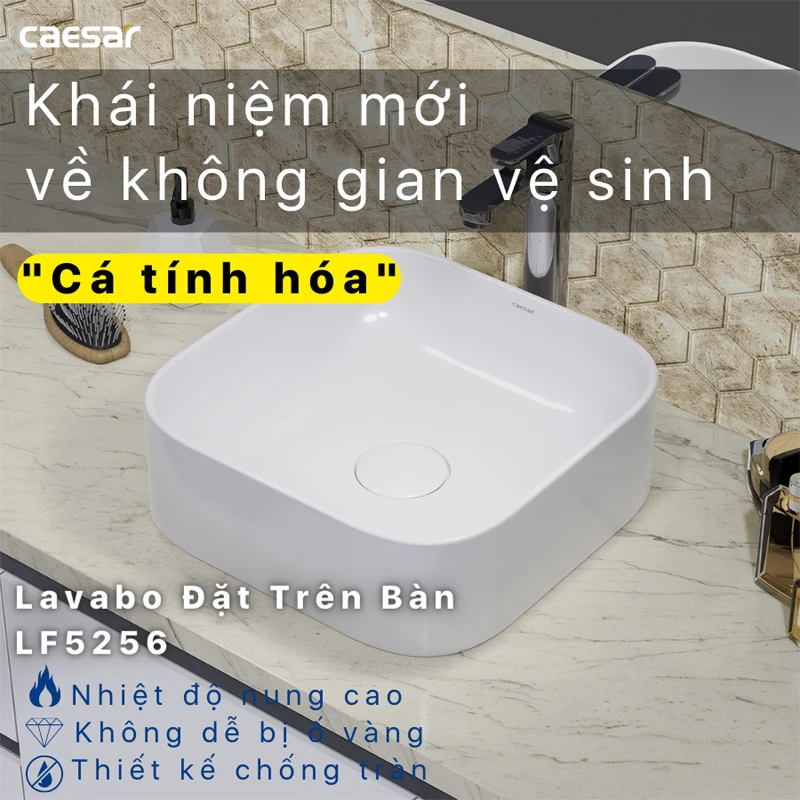chau rua ban da caesar lf5256
