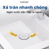 Chậu rửa đặt bàn Caesar LF5017 2