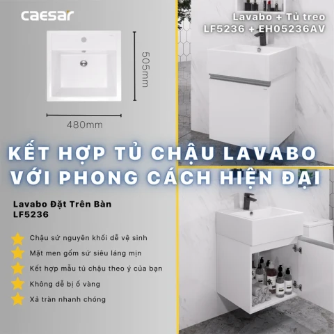 Ảnh Chậu rửa Caesar LF5236 6