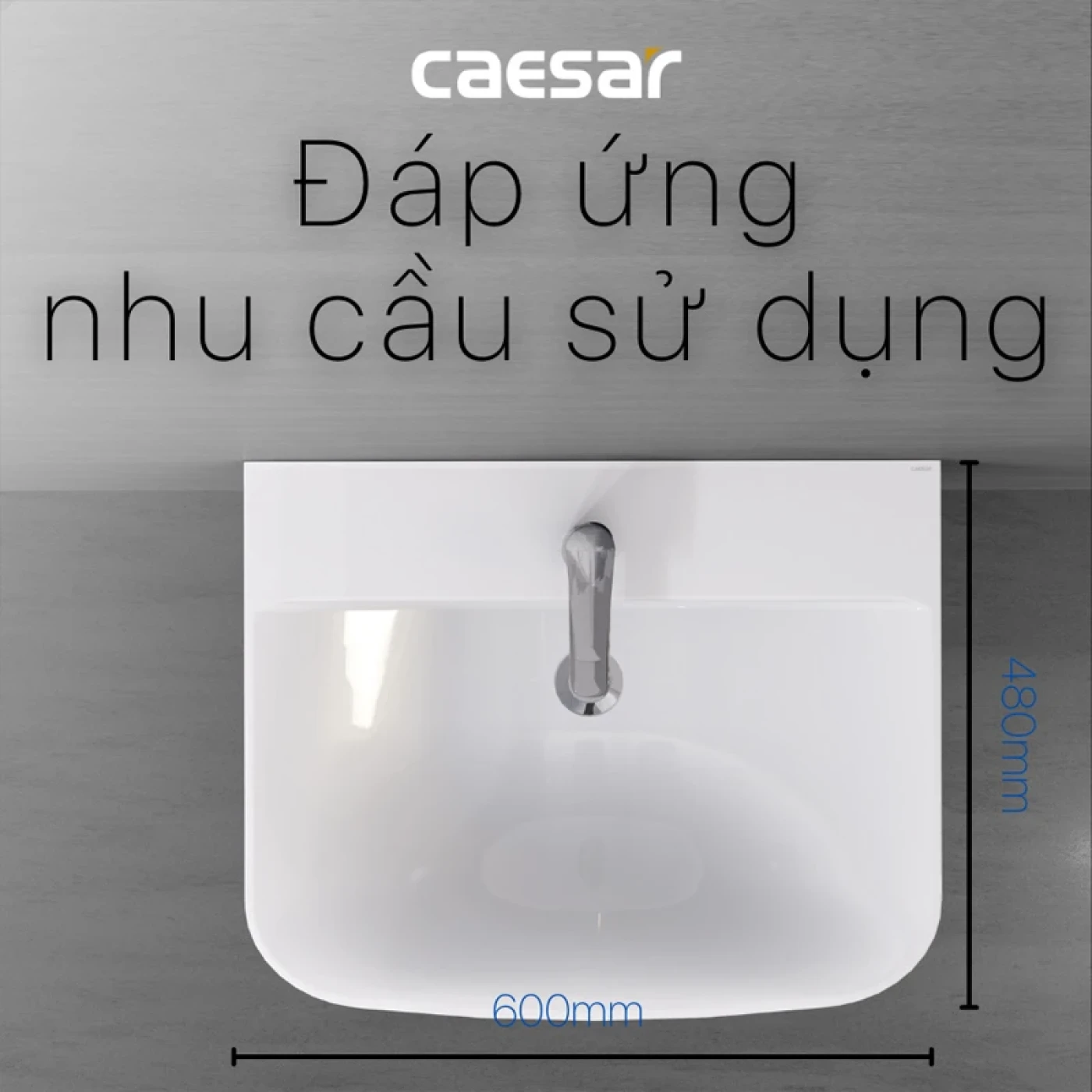 chau rua chan dai caesar l2365p2445 dap ung nhu cau