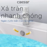 Chậu rửa treo tường Caesar L2365+P2445 4