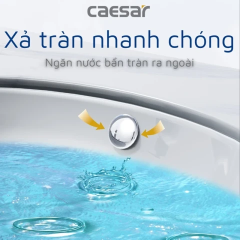 Ảnh Chậu rửa âm bàn Caesar L5113 2