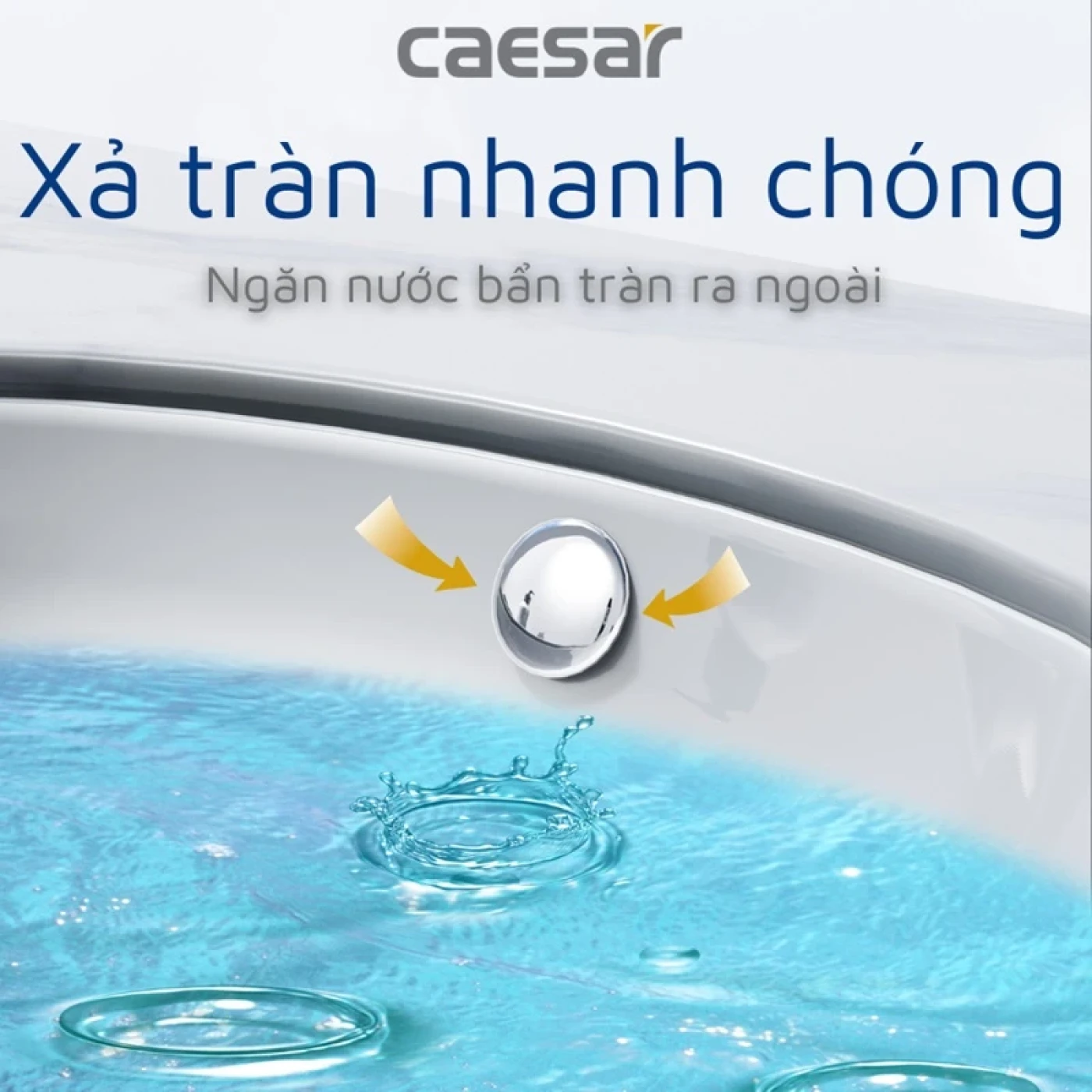 chau rua dat ban caesar l5113 cao cap 5