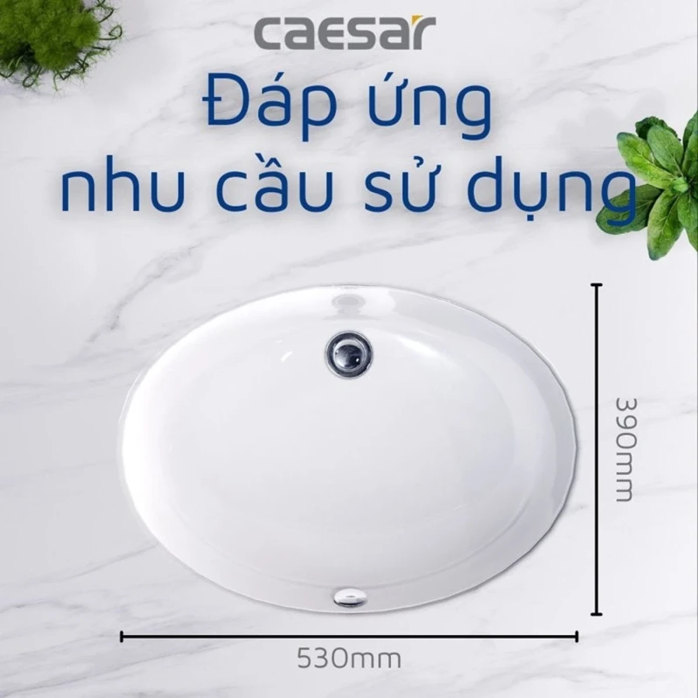 chau rua dat ban caesar l5113 cao cap 4