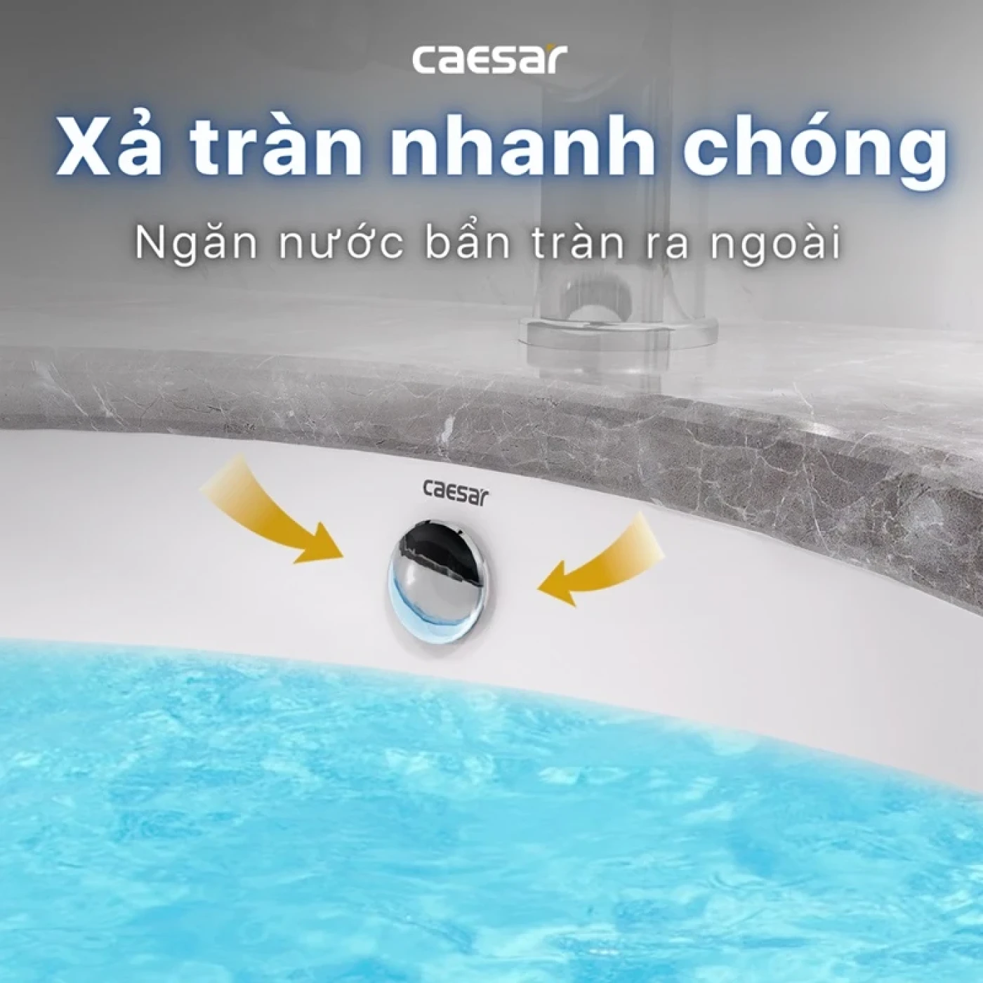 chau rua dat ban caesar l5115 su cao cap 3