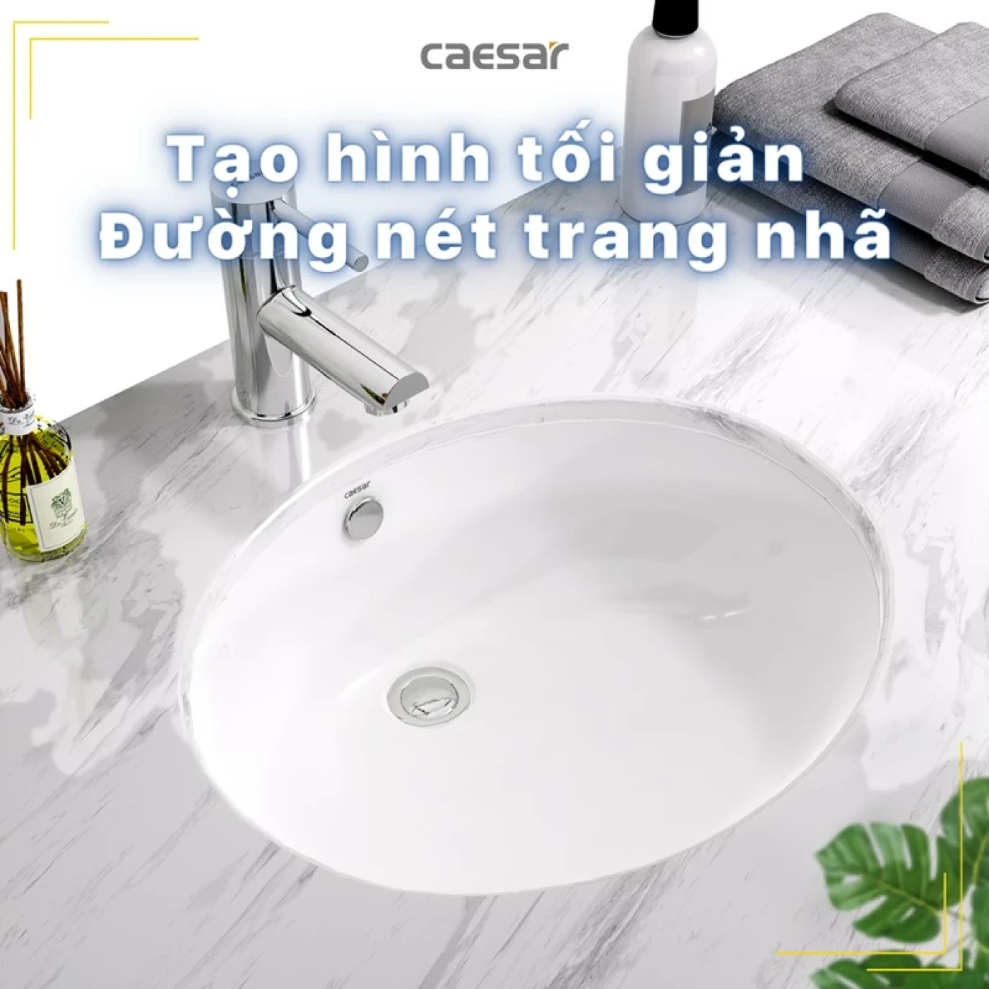 chau rua dat ban caesar l5115 su cao cap 5