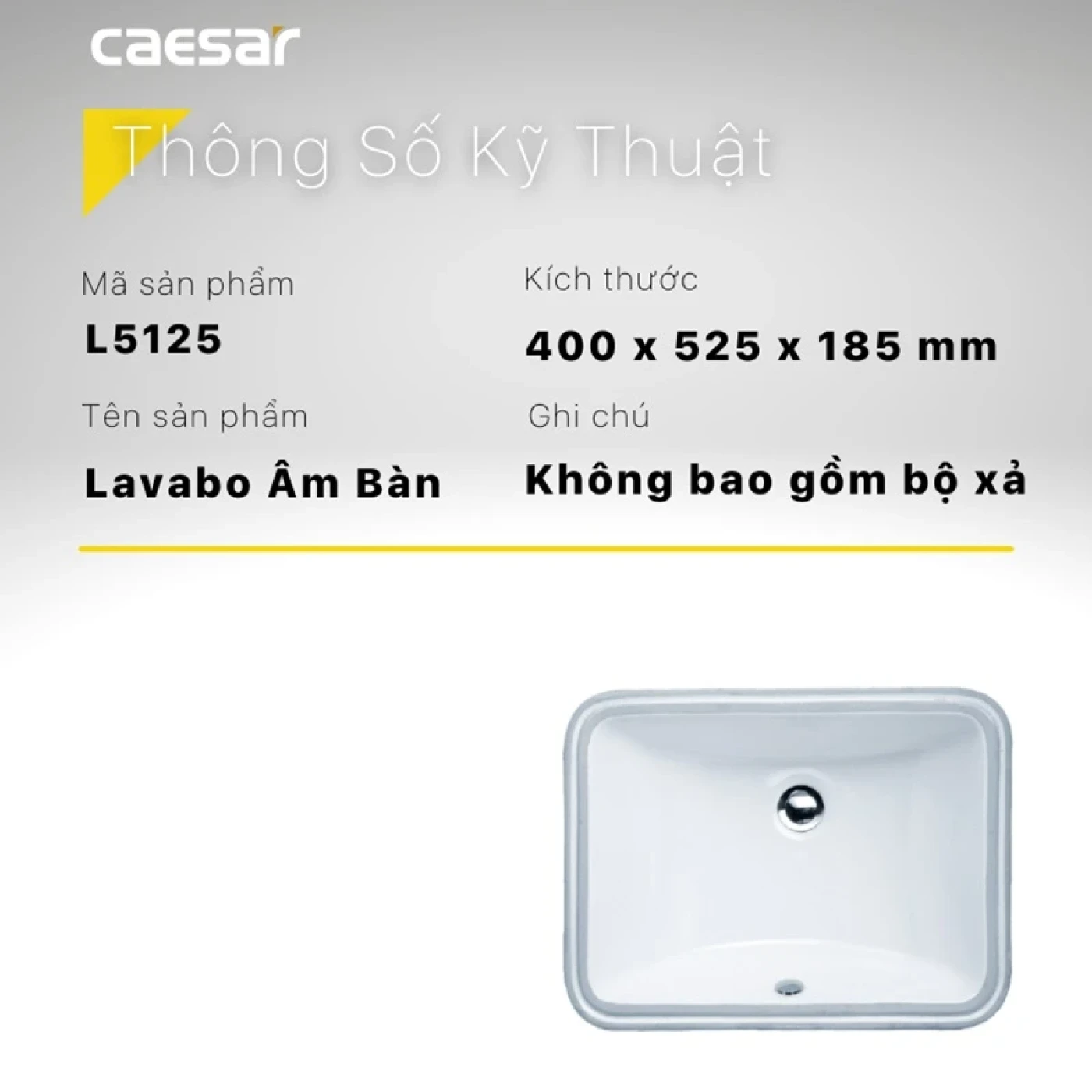 chau rua dat ban caesar l5125 thiet ke vuong 1