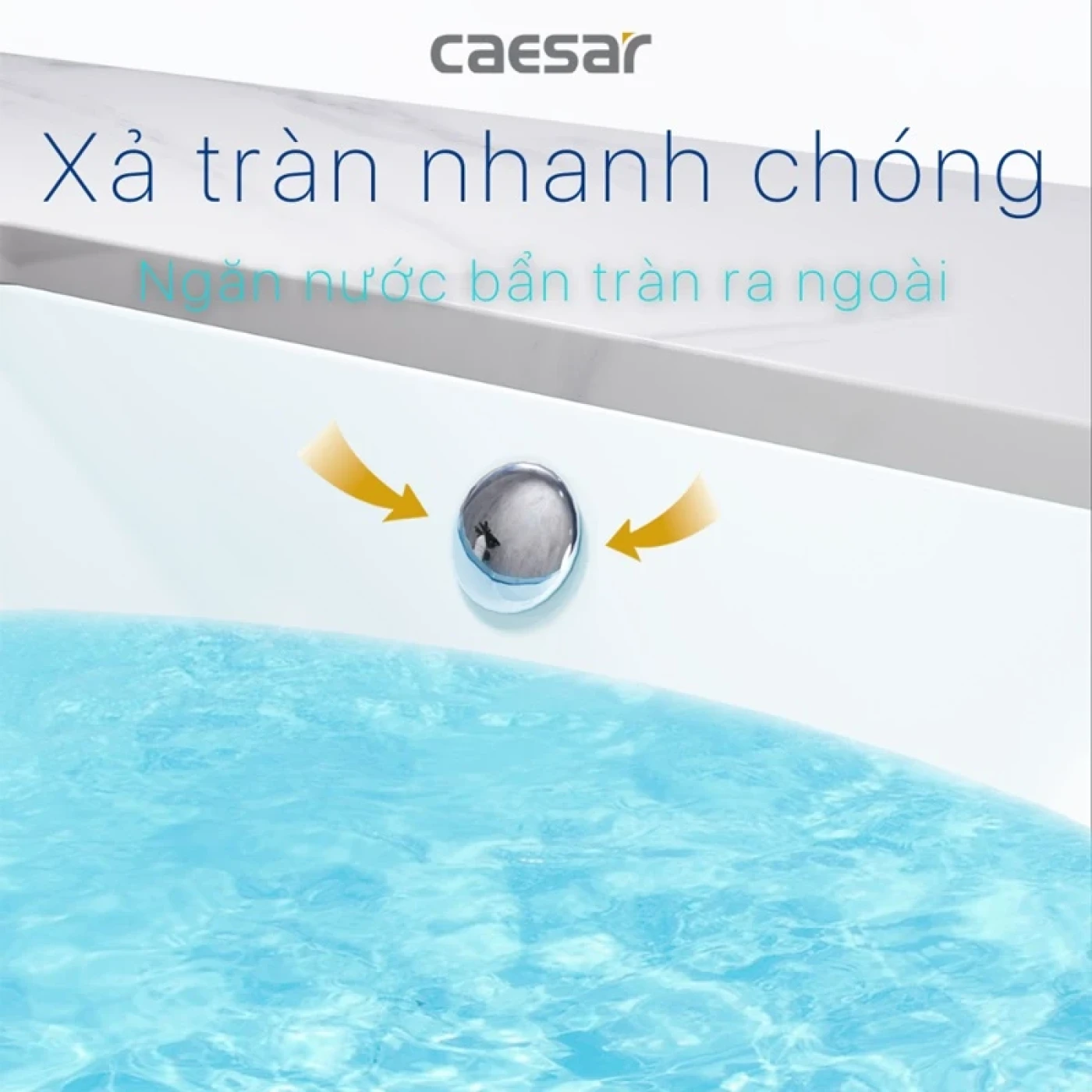 chau rua dat ban caesar l5125 thiet ke vuong 5