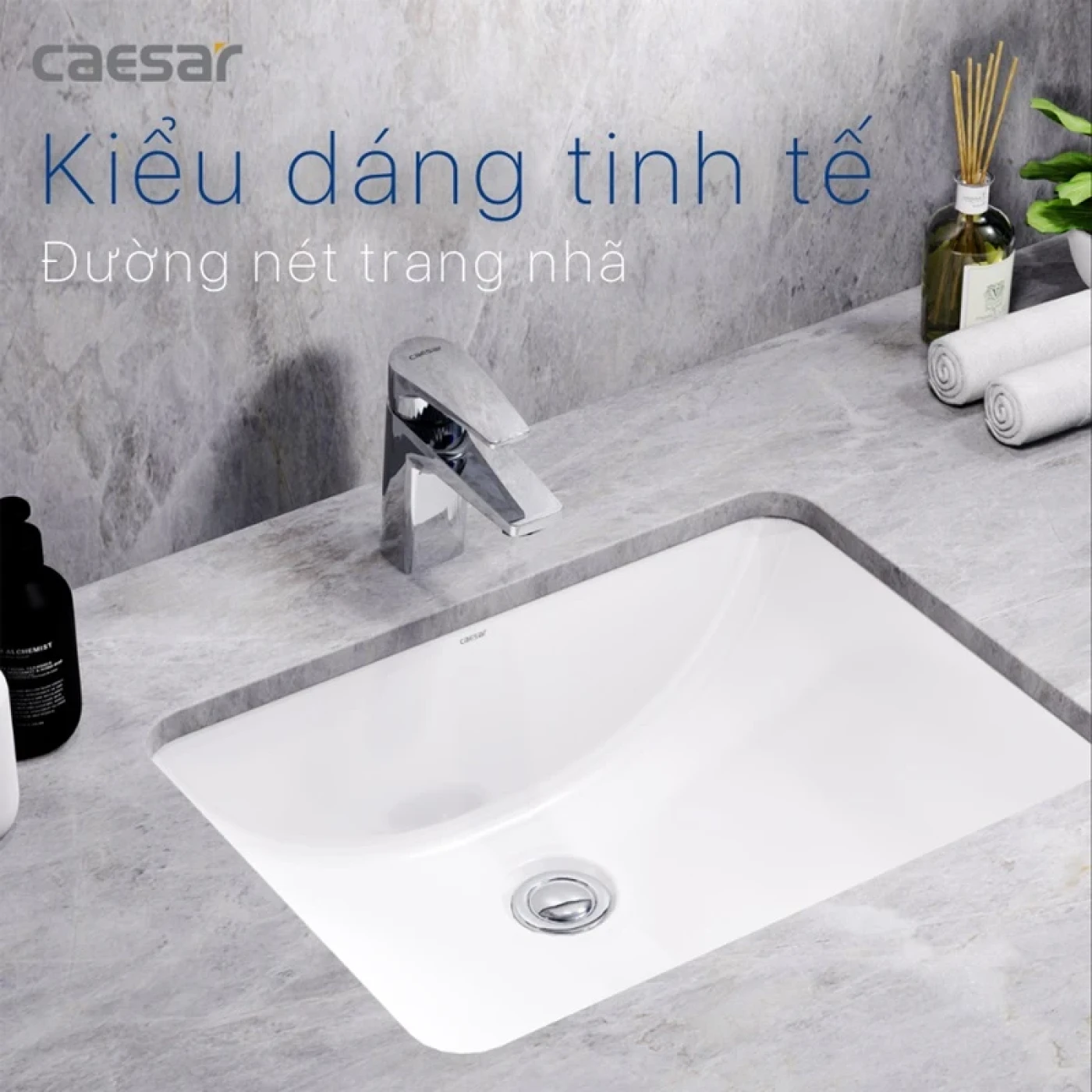 chau rua dat ban caesar l5125 thiet ke vuong 7