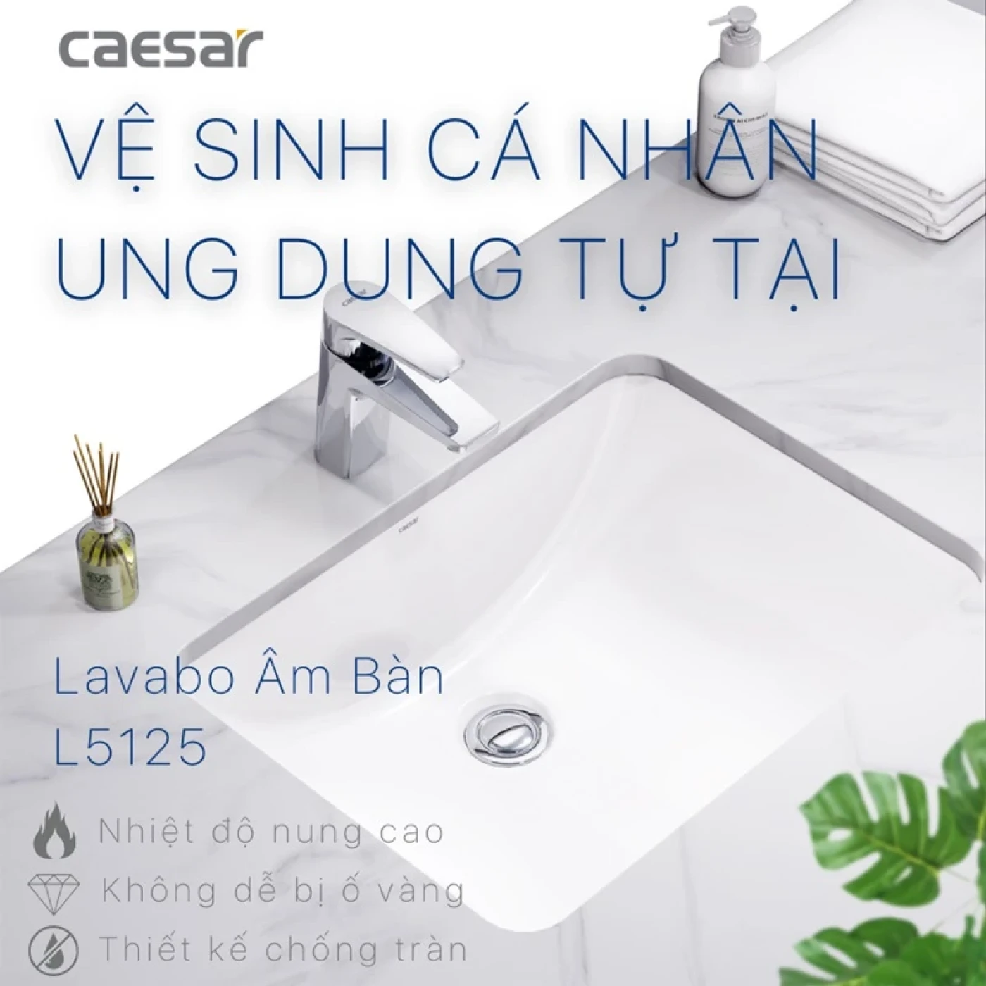 chau rua dat ban caesar l5125 thiet ke vuong 8