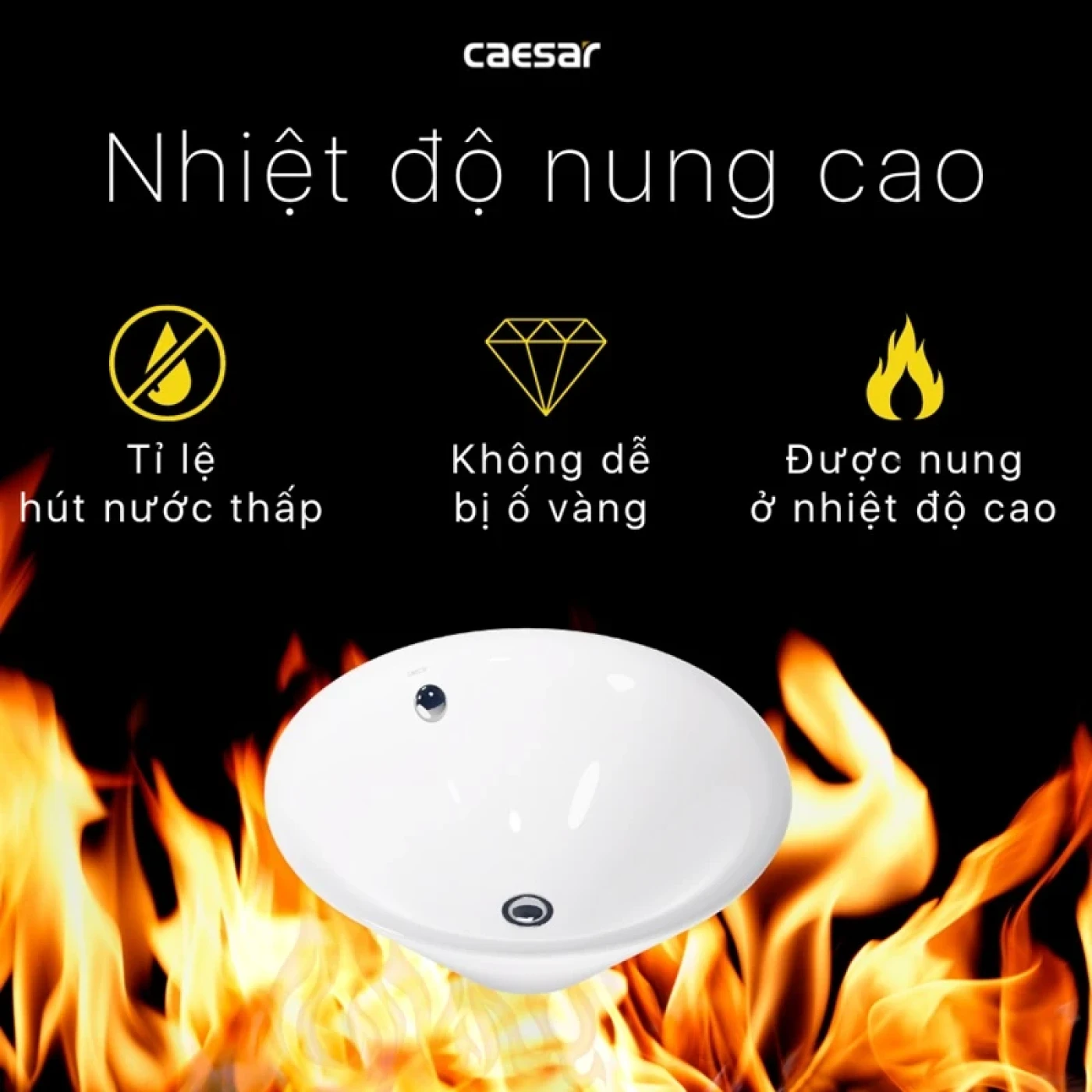 chau rua dat ban caesar l5222 7