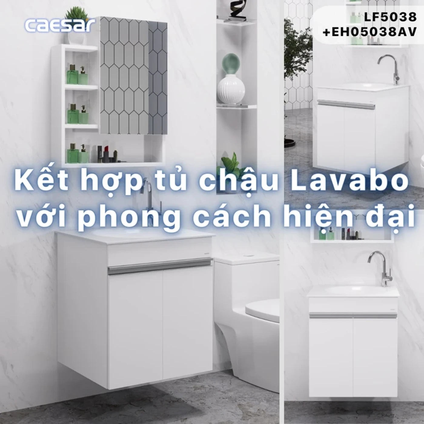 chau rua dat ban caesar lf5038 6