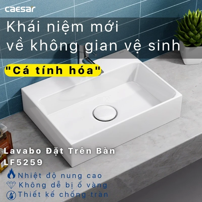 chau rua dat ban caesar lf5259 12